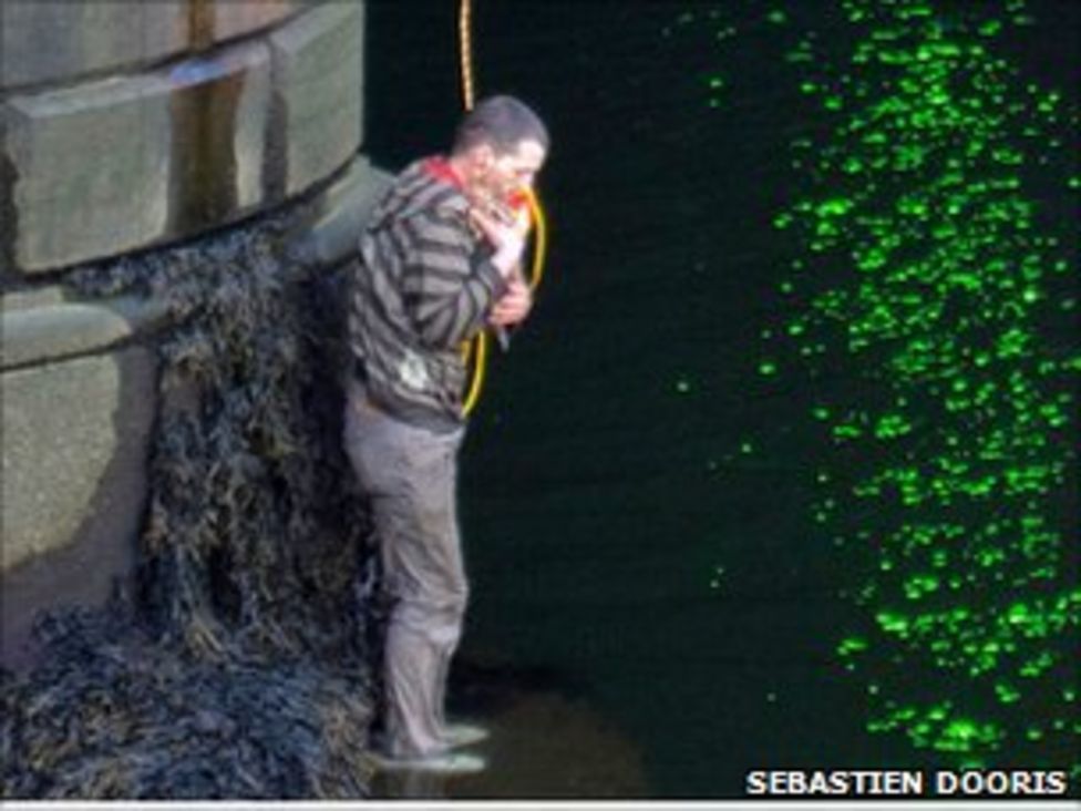 Dublin homeless man honoured for pet rabbit rescue - BBC News
