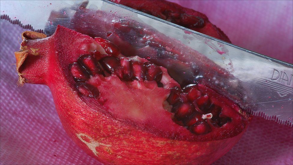 Pomegranate