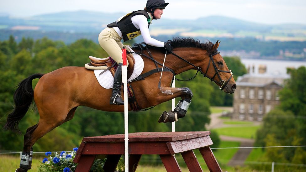 Horse and rider make a jump during a horse trial