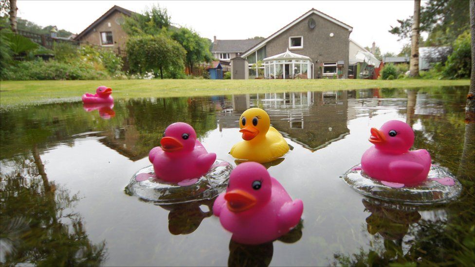 'Duck pond'