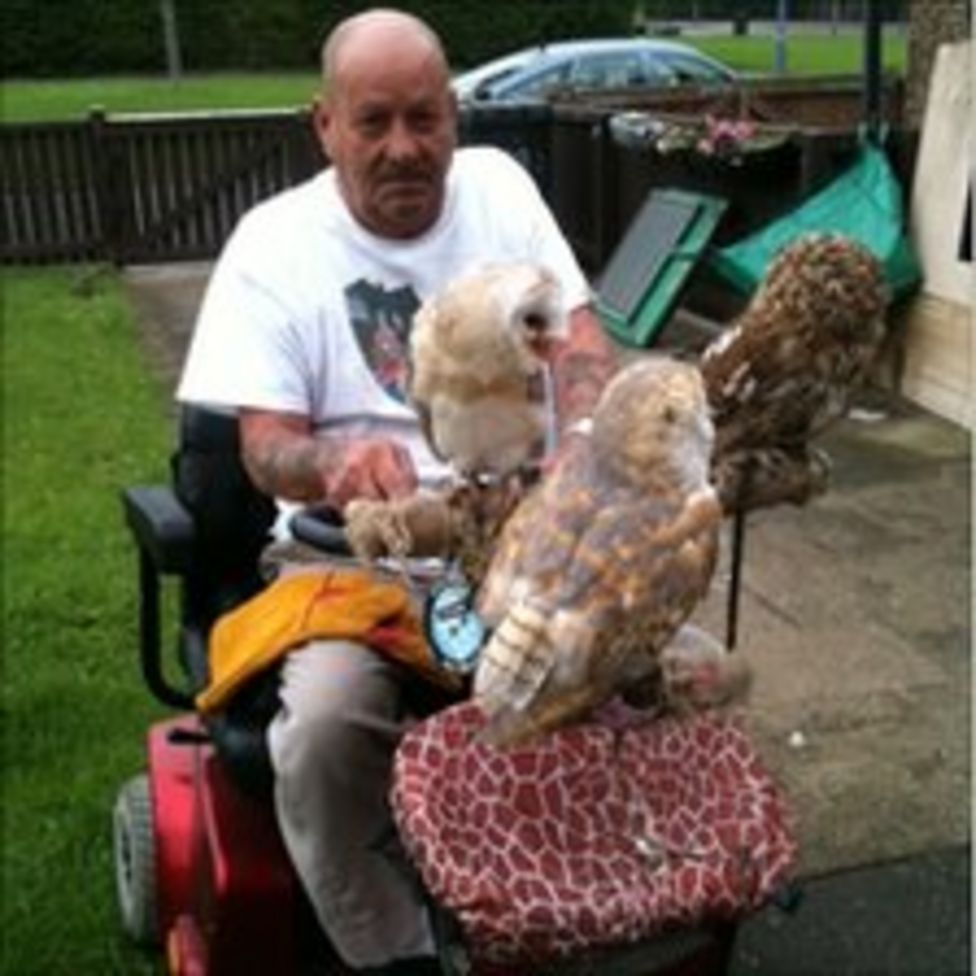 Middlesbrough man's owls hitch ride on mobility scooter BBC News