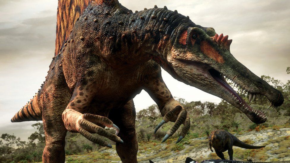 Planet dinosaur see some lesser known dinosaurs bbc newsround