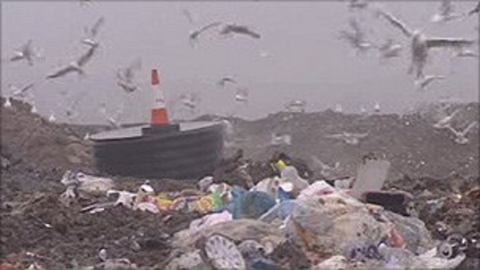 Major shakeup for Cardiff's waste collection starts BBC News