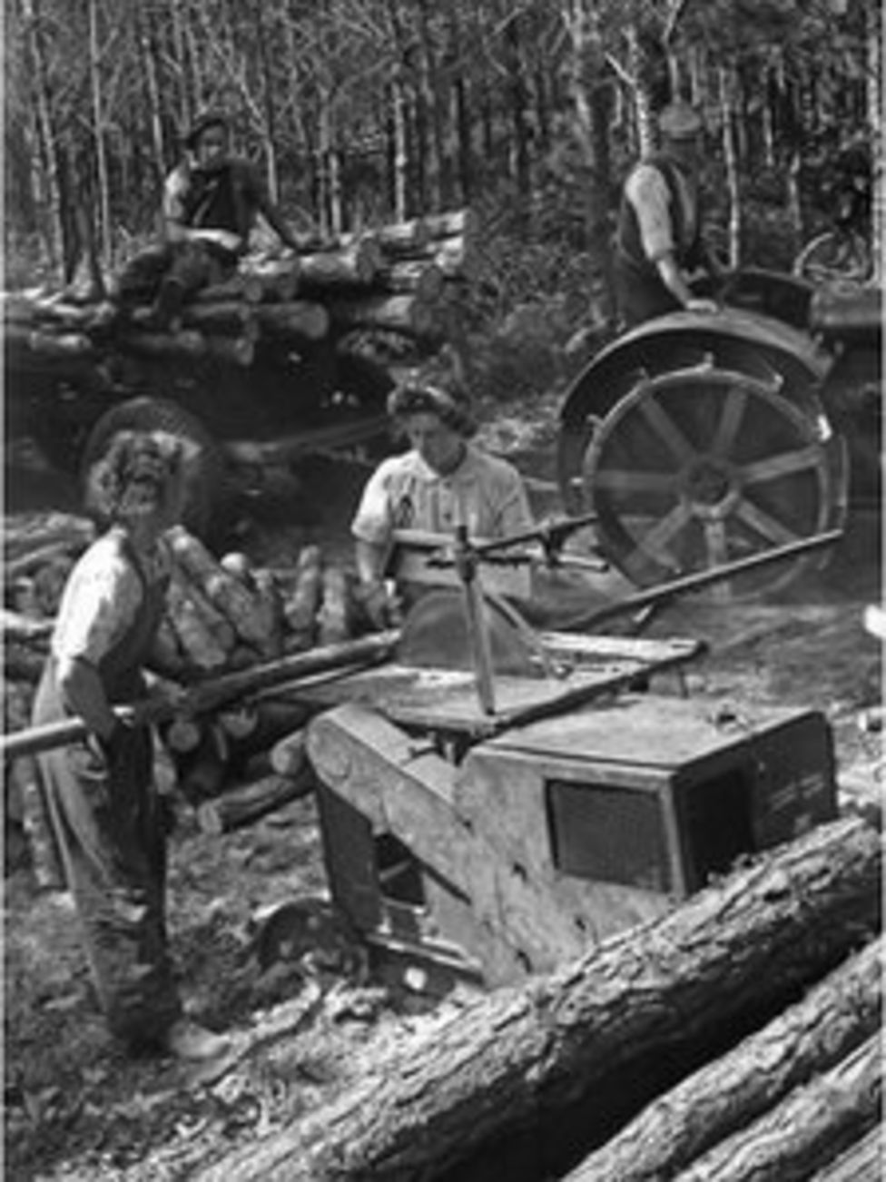 Working as a World War II 'lumberjill' BBC News