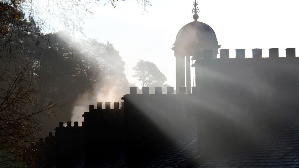 Sunlight streaming through trees and over rooftops