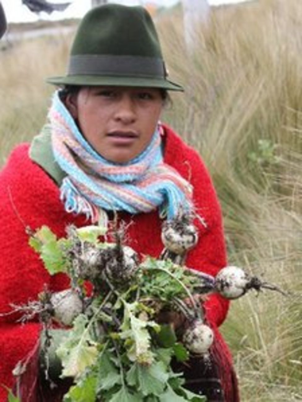 Ecuador's women farmers reap rewards of joint work BBC News