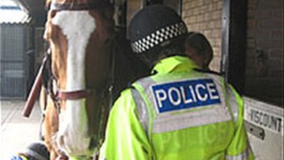 Edinburgh may lose its mounted police - BBC News