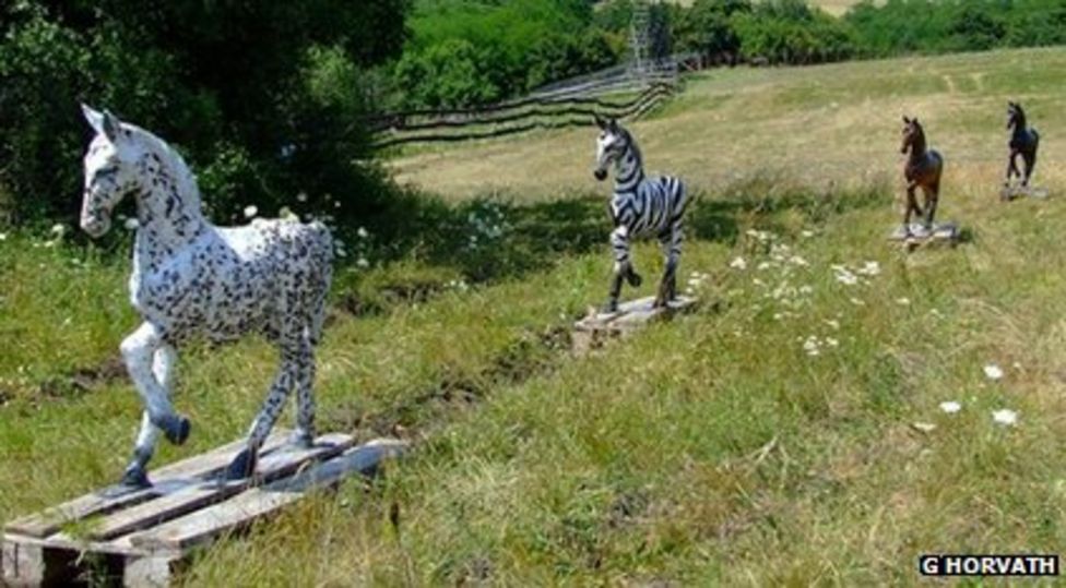 Zebras have stripes 'to keep away bloodsucking flies' BBC Newsround