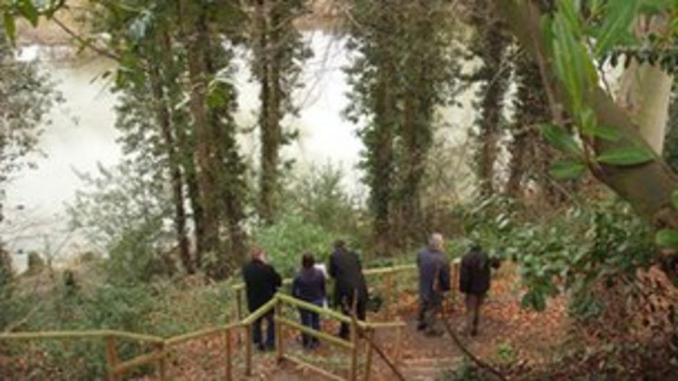 Darwin's Shropshire garden offered for sale to trust BBC News