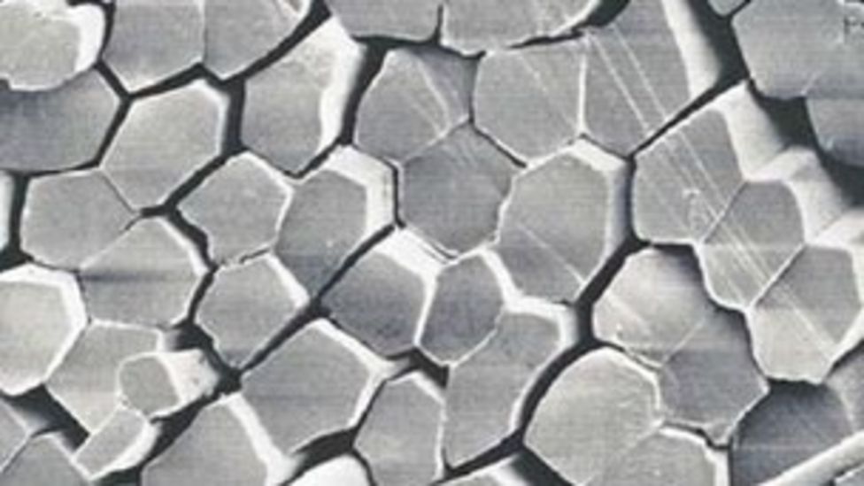 Spider silk spun into violin strings BBC News