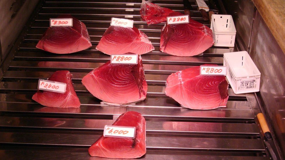 Fresh tuna