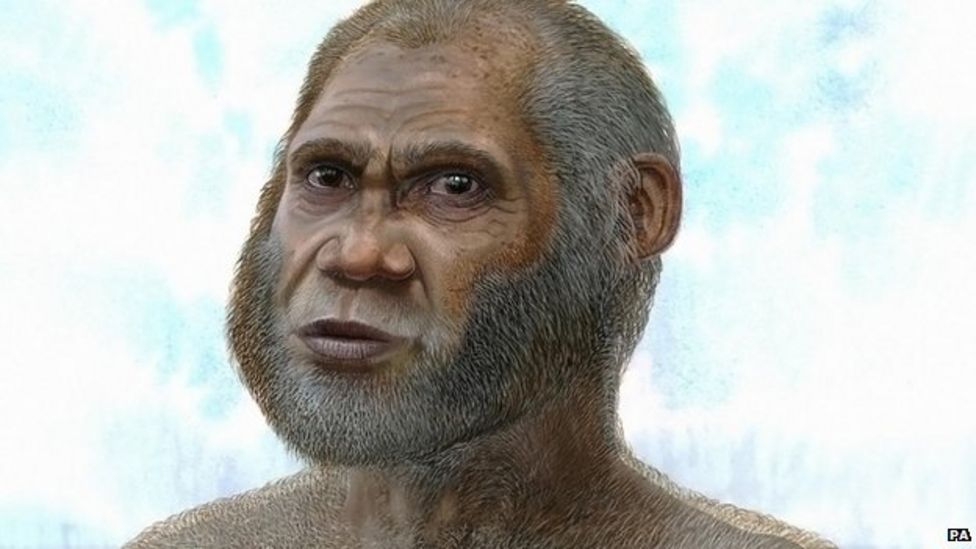 New species of human may have been discovered BBC Newsround