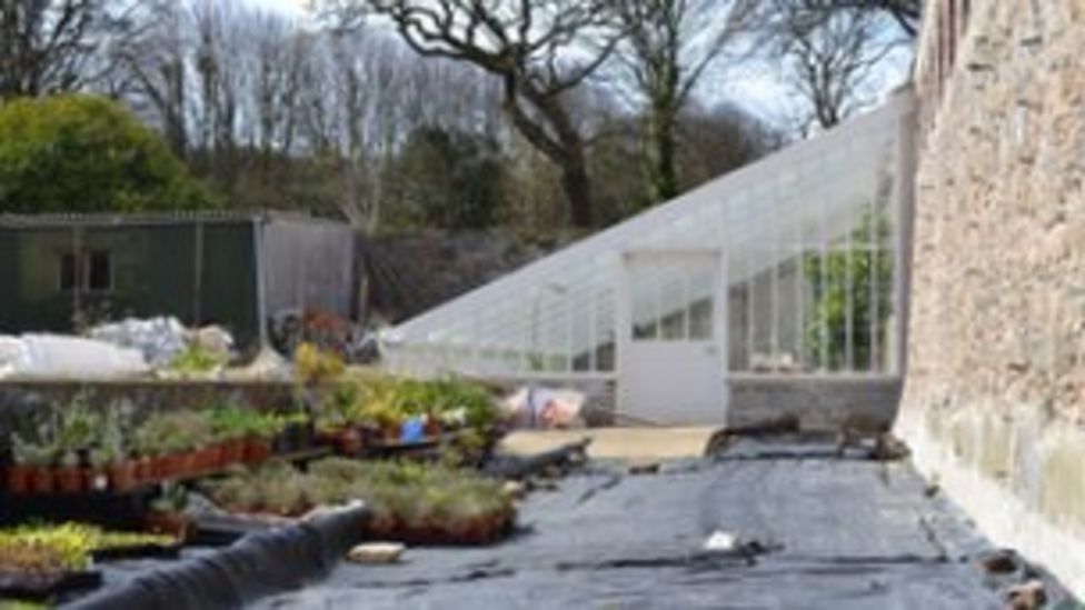 Guernsey trust ready to build second greenhouse BBC News