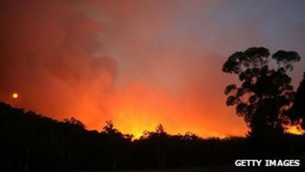 Australia bushfire starter Sokaluk jailed for
