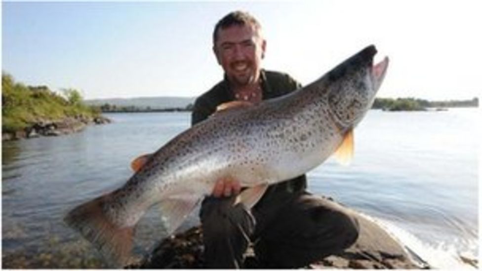 Fisherman catches giant trout in County Galway BBC News