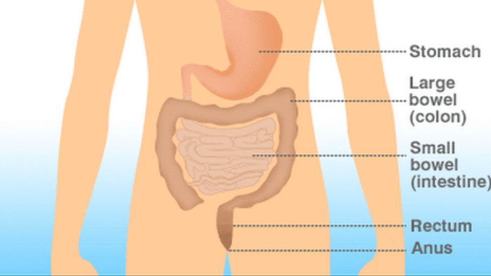 Stool test 'accurate for diagnosing bowel diseases' BBC News