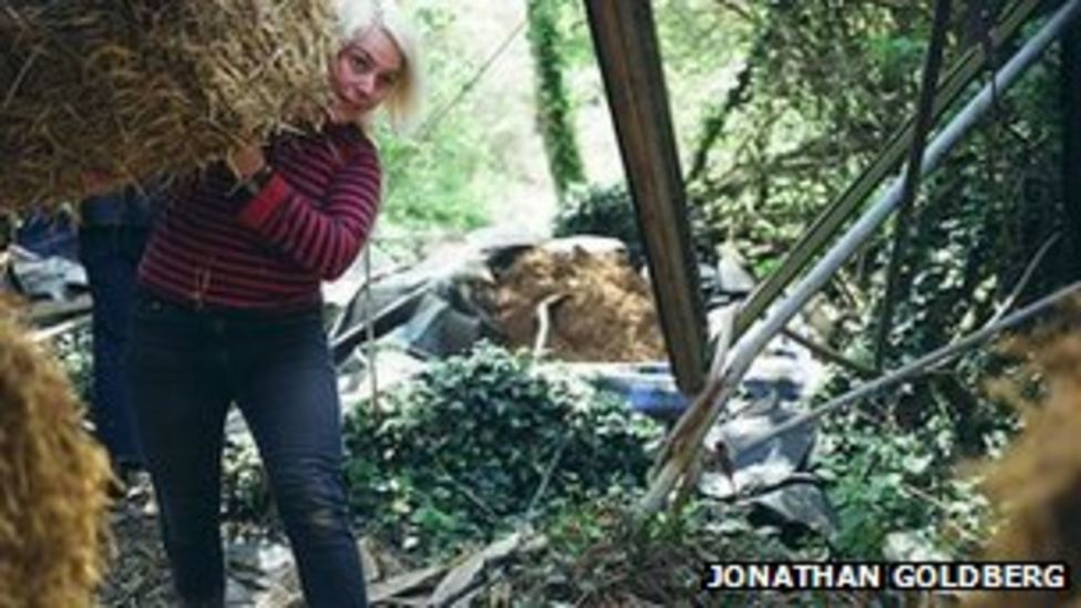 Grow Heathrow Green Fingered Squatters Eviction Fight Bbc News