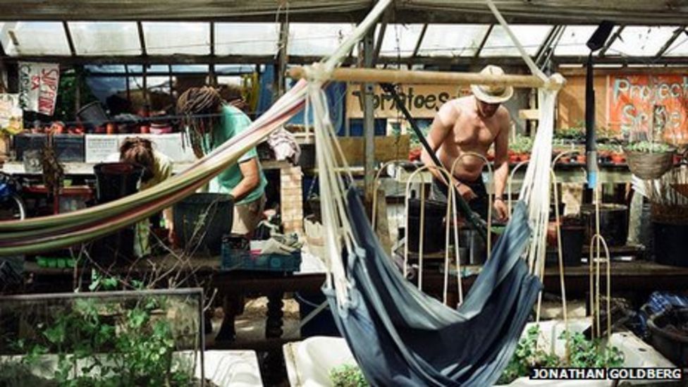 Grow Heathrow Green Fingered Squatters Eviction Fight Bbc News