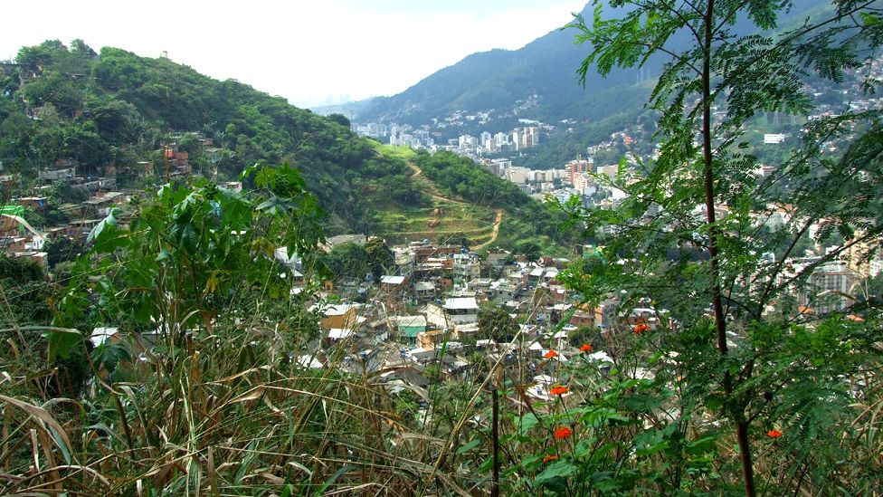 Vista of favela and adjacent Tijuca Forest