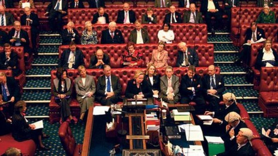 New hereditary peer elected to House of Lords BBC News