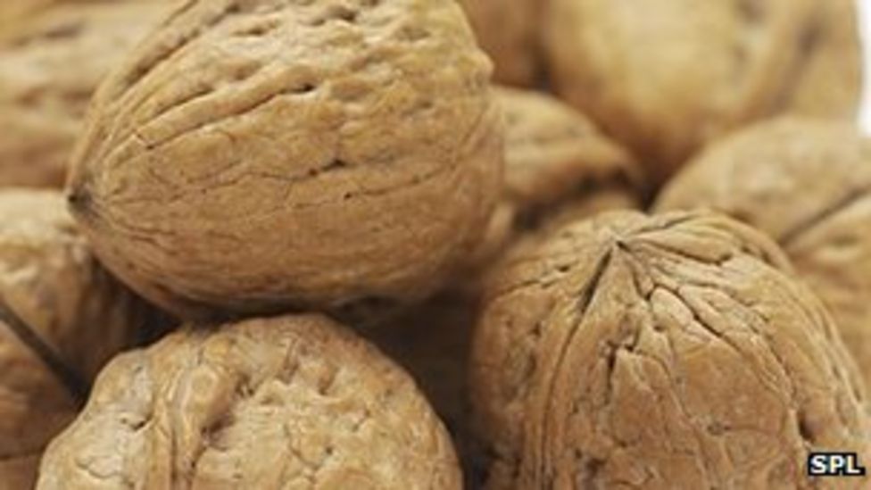 Walnuts 'improve sperm health' BBC News