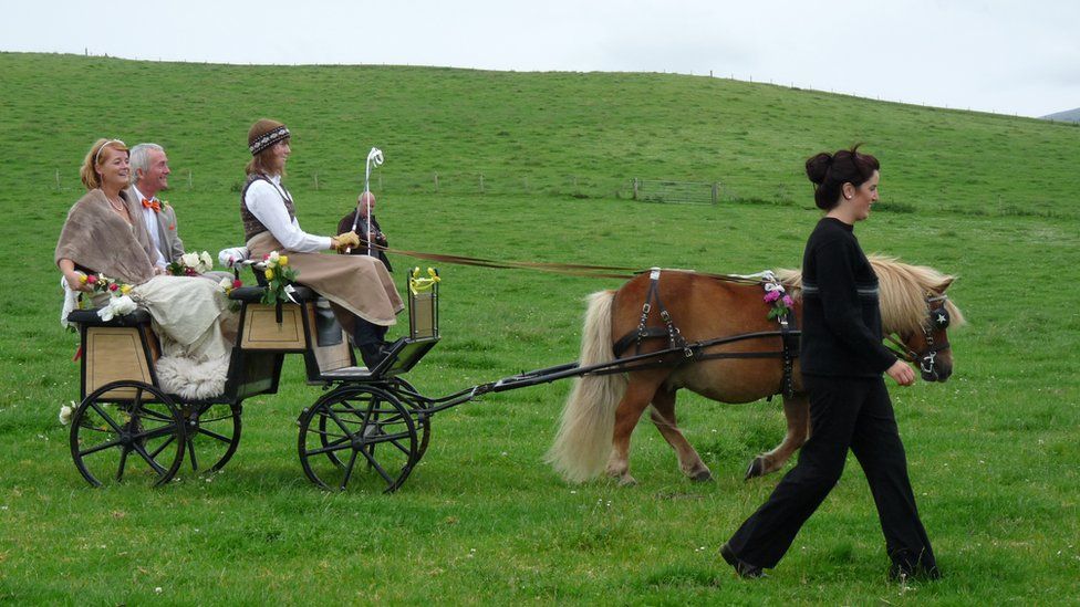 People in a Shetland pony and trap