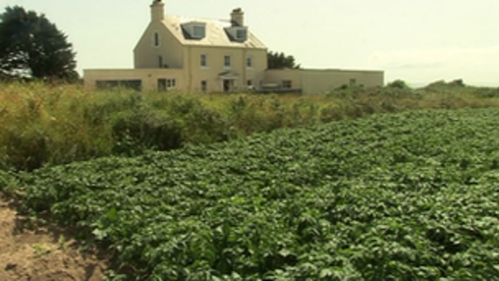 Jersey agriculture industry sees wage drop by 3.1 BBC News