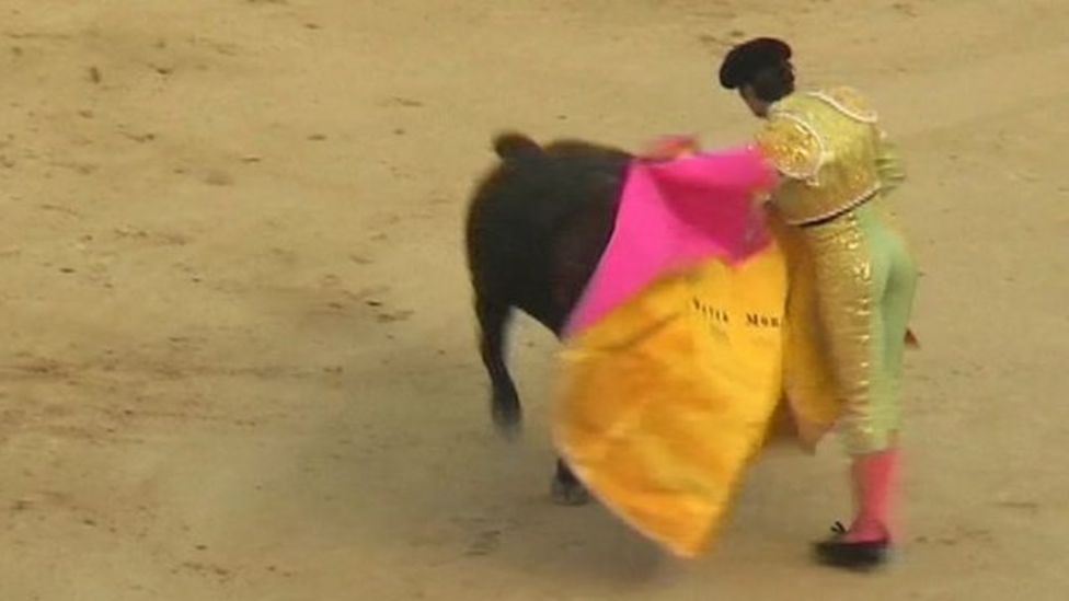 Spanish Battle Over Toro De La Vega Bullfighting Tradition Bbc News