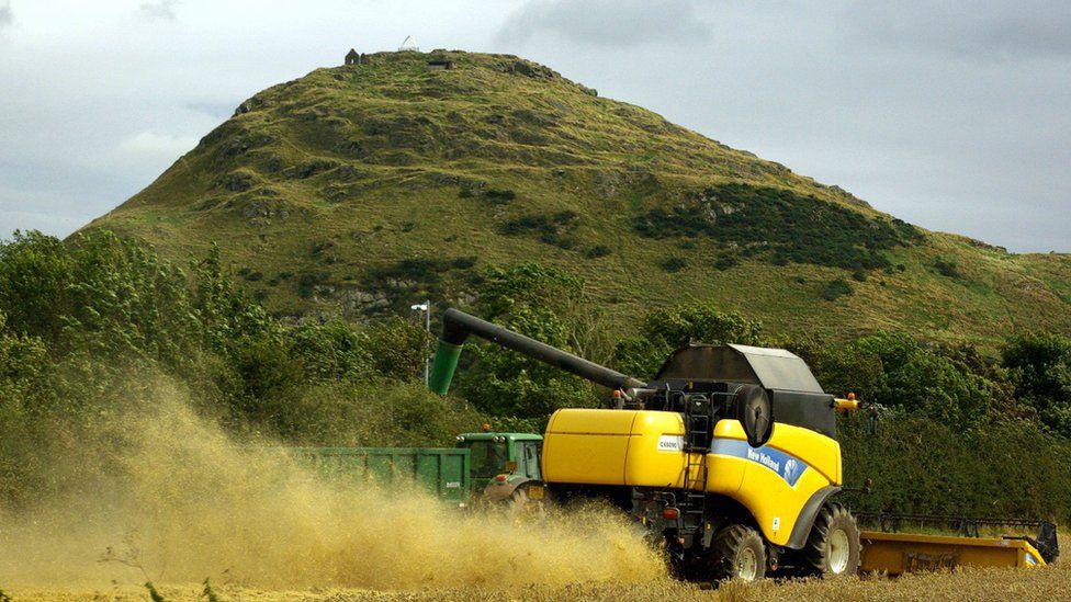 Harvester at work in a field