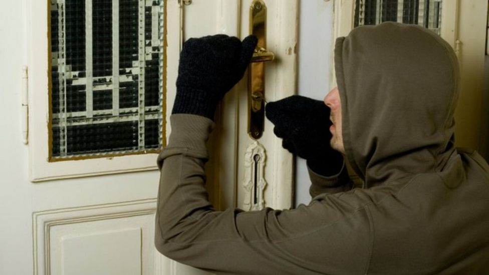 A Burglary Attempt Led To Glorillas Arrest Heres How - dqwgxds