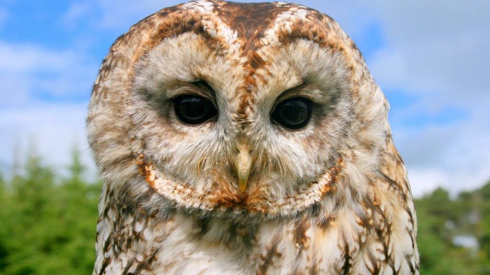 Your pictures of Scotland 14 21 September BBC News