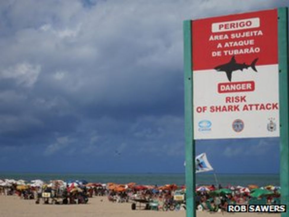 The beautiful Brazilian beaches plagued by shark attacks - BBC News