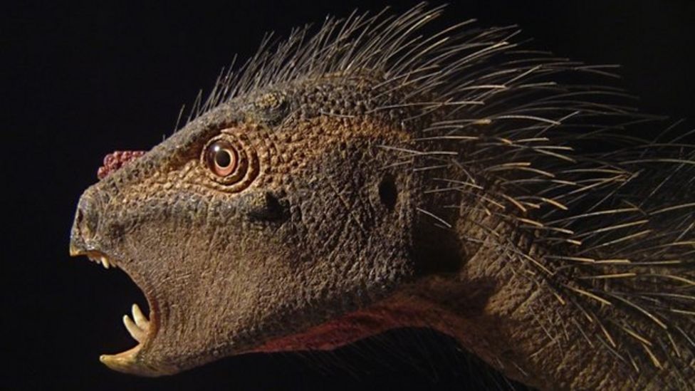 New Species Of Dinosaur Discovered With Bat Wings - BBC Newsround