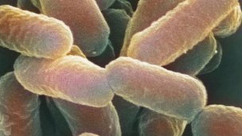 E. Coli outbreak: Further tests on 40 people - BBC News