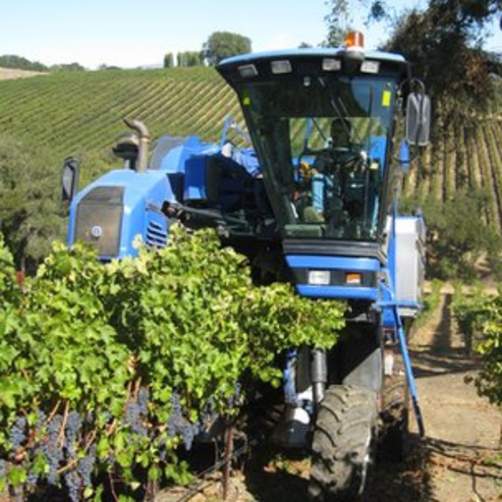 Cheers! How drones are helping the wine industry - BBC News