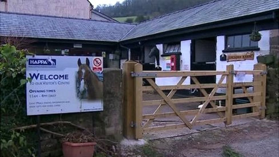 Concerns over welfare of horses from Chepstow farm BBC News