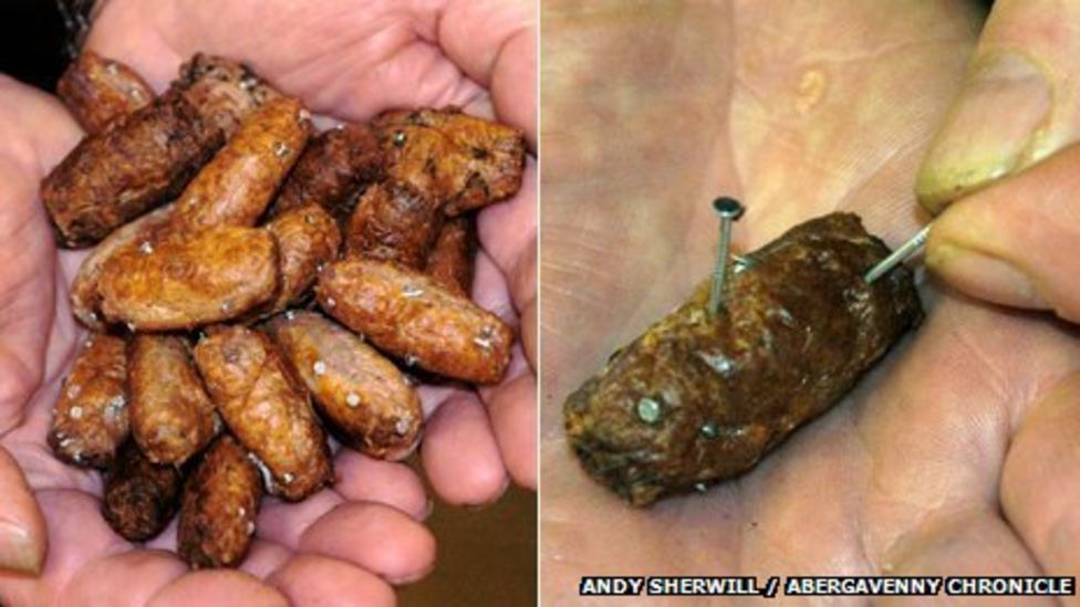 Abergavenny dog walkers warned over nailspiked sausages BBC News