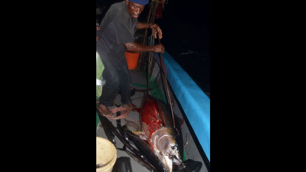 A crewman aboard the Kenyan fishing vessel after hauling in a yellowfin tuna