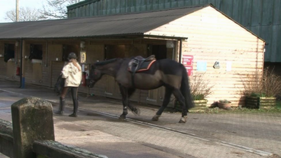 Cardiff Riding School Council denies closure plan BBC News