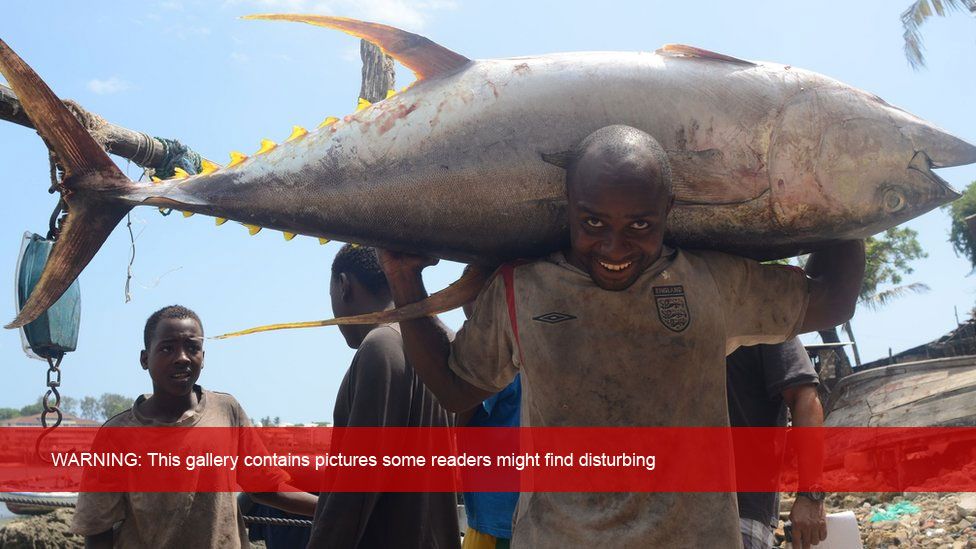 A Kenyan fisherman holding a yellowfin tuna in Mombasa, Kenya