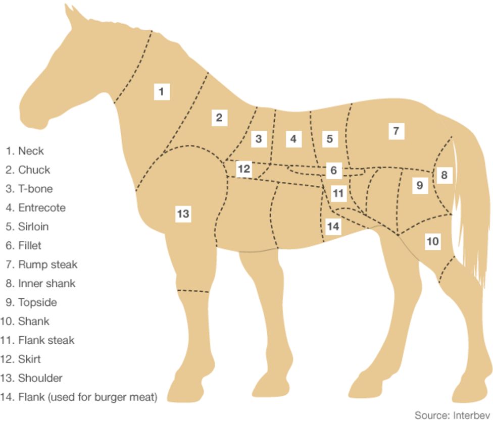 Самые мягкие части. Разруб конины. Схема разруба мяса конины. Схема разрубки конины. Схема туши конины.