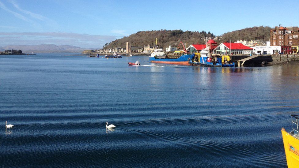 Boats and swans in Oban harbour