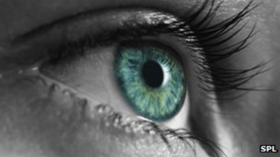 Macular degeneration Cholesterol drugs 'may save sight' BBC News