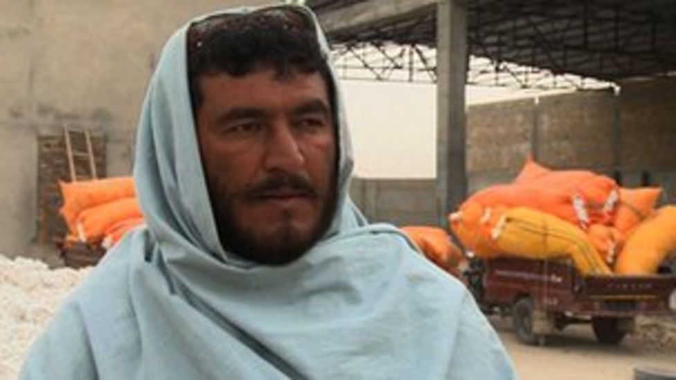 Afghan Farmers Return To Opium As Other Markets Fail Bbc News
