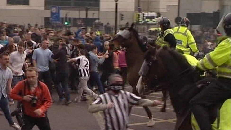 horse punched 2013 Tyne-Wear derby dies BBC News