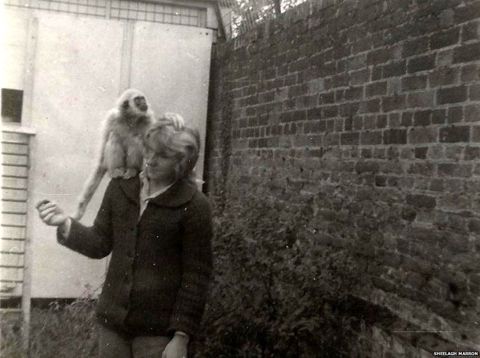 Patience Cole pictured with a gibbon in September 1963