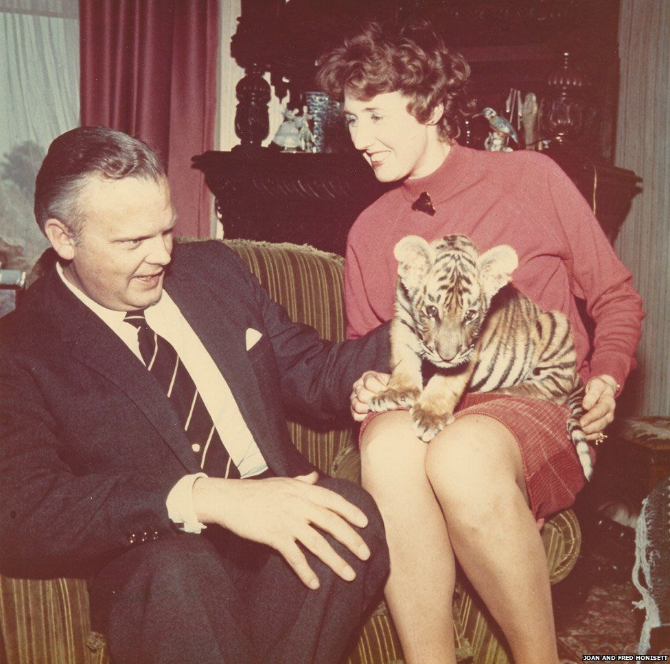 The Farrars’ secretary, Joan Honisett, and her husband, Fred, with a Colchester Zoo tiger cub in about 1969