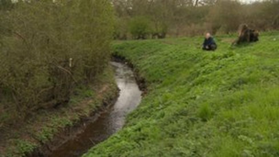Fulford homes to be built on 1066 'battle site' BBC News