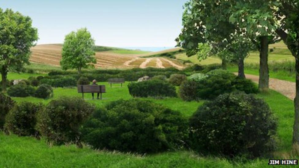 Woodland burial site created in Brighton and Hove BBC News