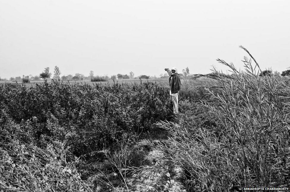 In pictures: India's 'living dead' - BBC News